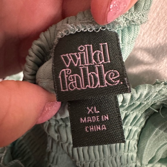 Wild Fable women’s sleeveless tiered chiffon fit & flare skater mini dress XL - Picture 4 of 9